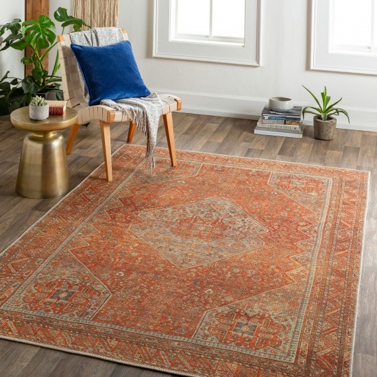 Surya Amelie Rug 2' X 2'11" - Burnt Orange & Orange