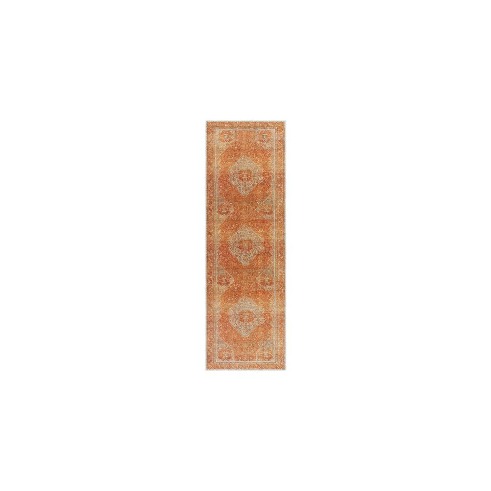 Surya Amelie Rug 2'7" X 7'10" - Burnt Orange & Orange