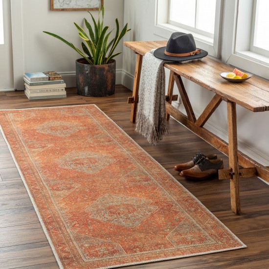 Surya Amelie Rug 2'7" X 7'10" - Burnt Orange & Orange