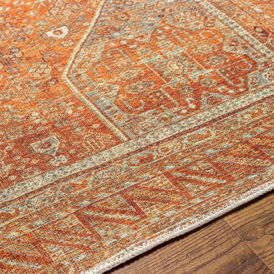 Surya Amelie Rug 2'7" X 7'10" - Burnt Orange & Orange