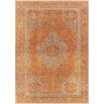 Surya Amelie Rug 5'3" X 7'3" - Burnt Orange & Orange