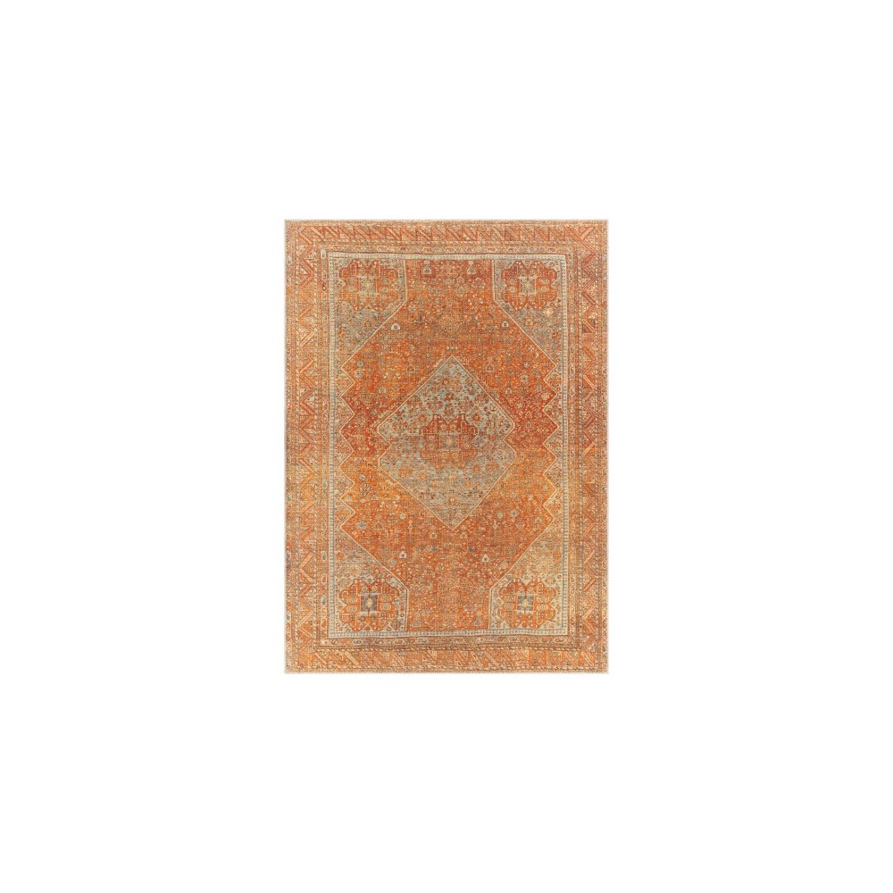 Surya Amelie Rug 5'3" X 7'3" - Burnt Orange & Orange