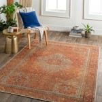 Surya Amelie Rug 5'3" X 7'3" - Burnt Orange & Orange