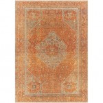 Surya Amelie Rug 6'7" X 9' - Burnt Orange & Orange