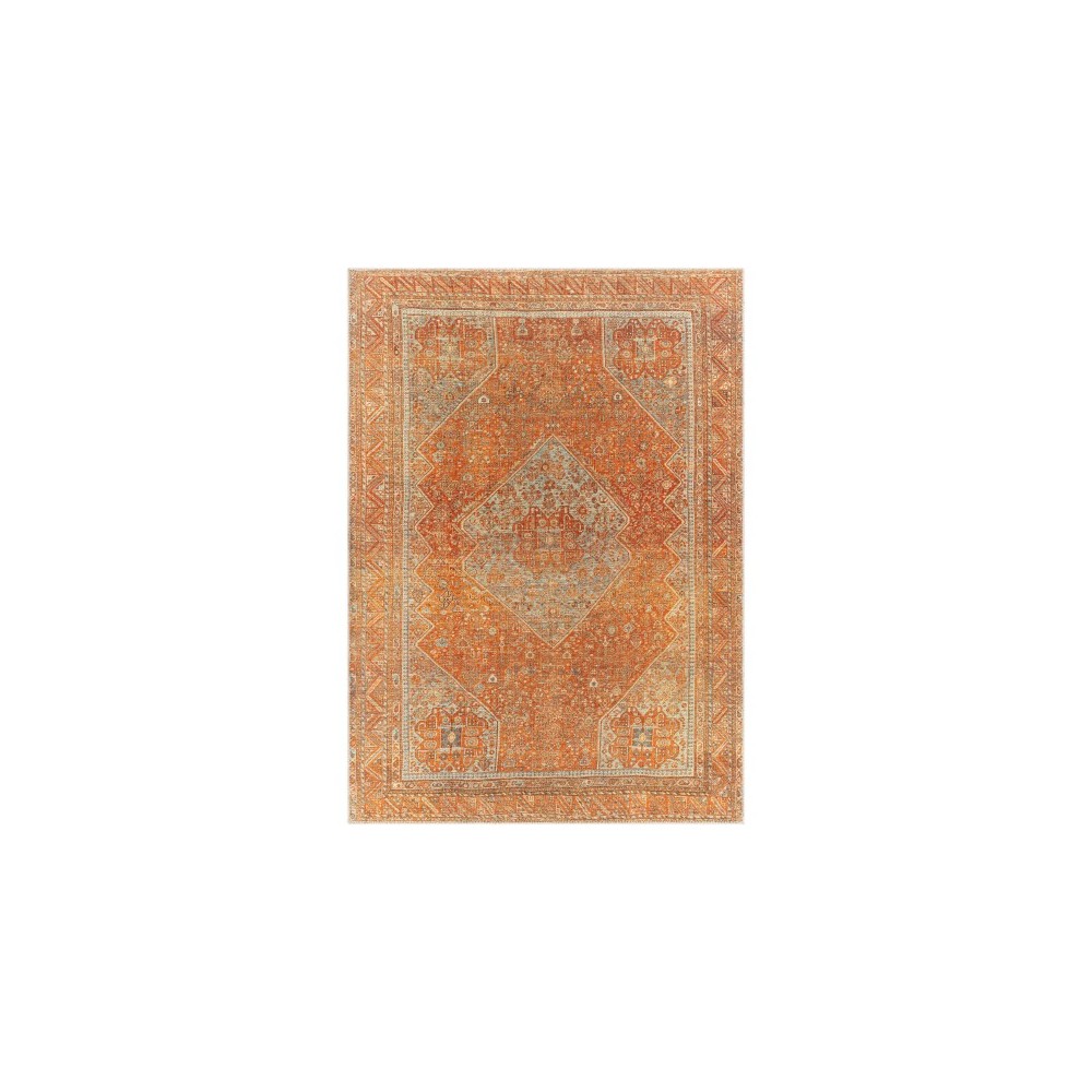 Surya Amelie Rug 6'7" X 9' - Burnt Orange & Orange Surya Amelie Rug 6'7" X 9' - Burnt Orange & Orange