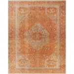 Surya Amelie Rug 7'10" X 10'2" - Burnt Orange & Orange