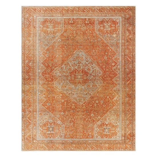 Surya Amelie Rug 7'10" X 10'2" - Burnt Orange & Orange