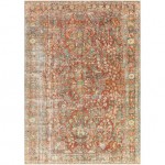 Surya Amelie Rug 2' X 2'11" - Brick Red & Dusty Sage