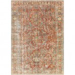 Surya Amelie Rug 6'7" X 9' - Brick Red & Dusty Sage