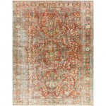 Surya Amelie Rug 7'10" X 10'2" - Brick Red & Dusty Sage