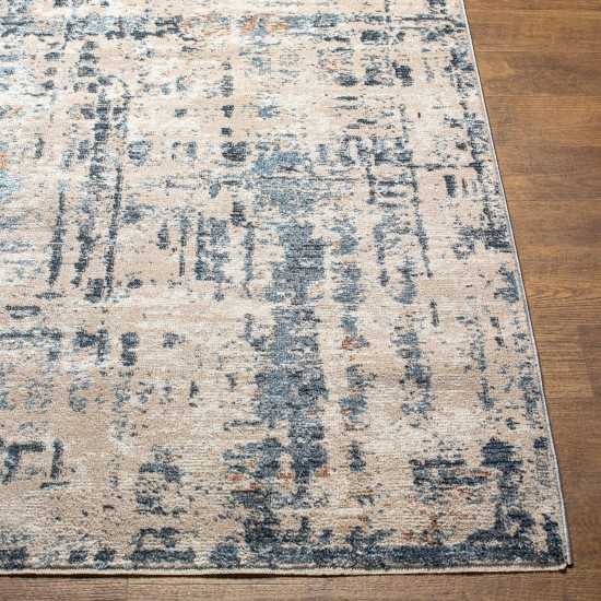 Surya Amore Amo-2336 Rug 2' X 3'