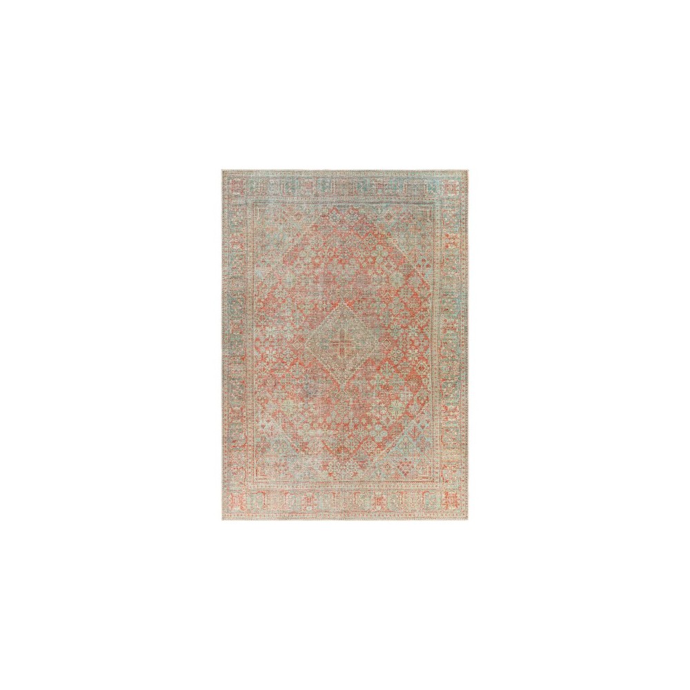 Surya Amelie Rug 2' X 2'11" - Brick Red & Sage Surya Amelie Rug 2' X 2'11" - Brick Red & Sage