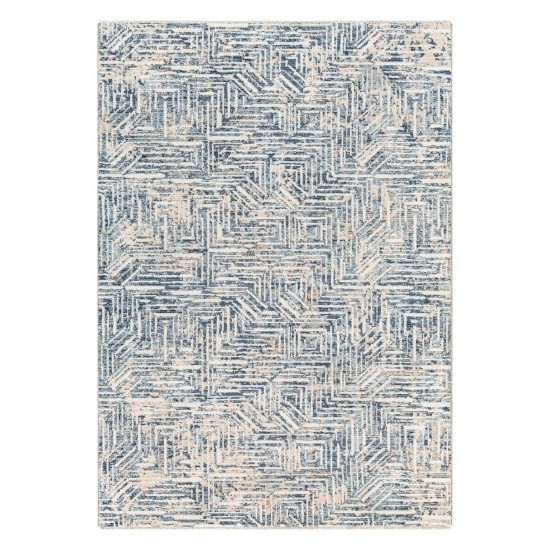 Surya Amore Amo-2337 Rug 2' X 3'