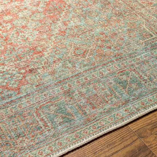 Surya Amelie Rug 2'7" X 7'10" - Brick Red & Sage