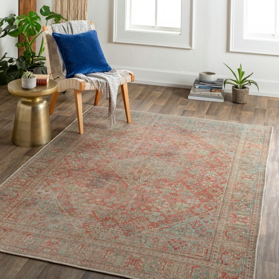 Surya Amelie Rug 5'3" X 7'3" - Brick Red & Sage