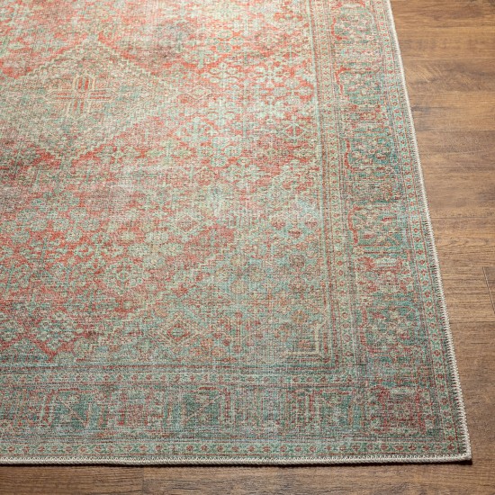 Surya Amelie Rug 7'10" X 10'2" - Brick Red & Sage