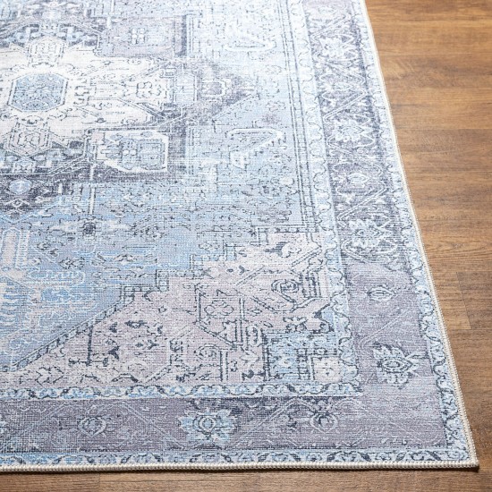 Surya Amelie Sky Blue Rug 2'7" X 14'