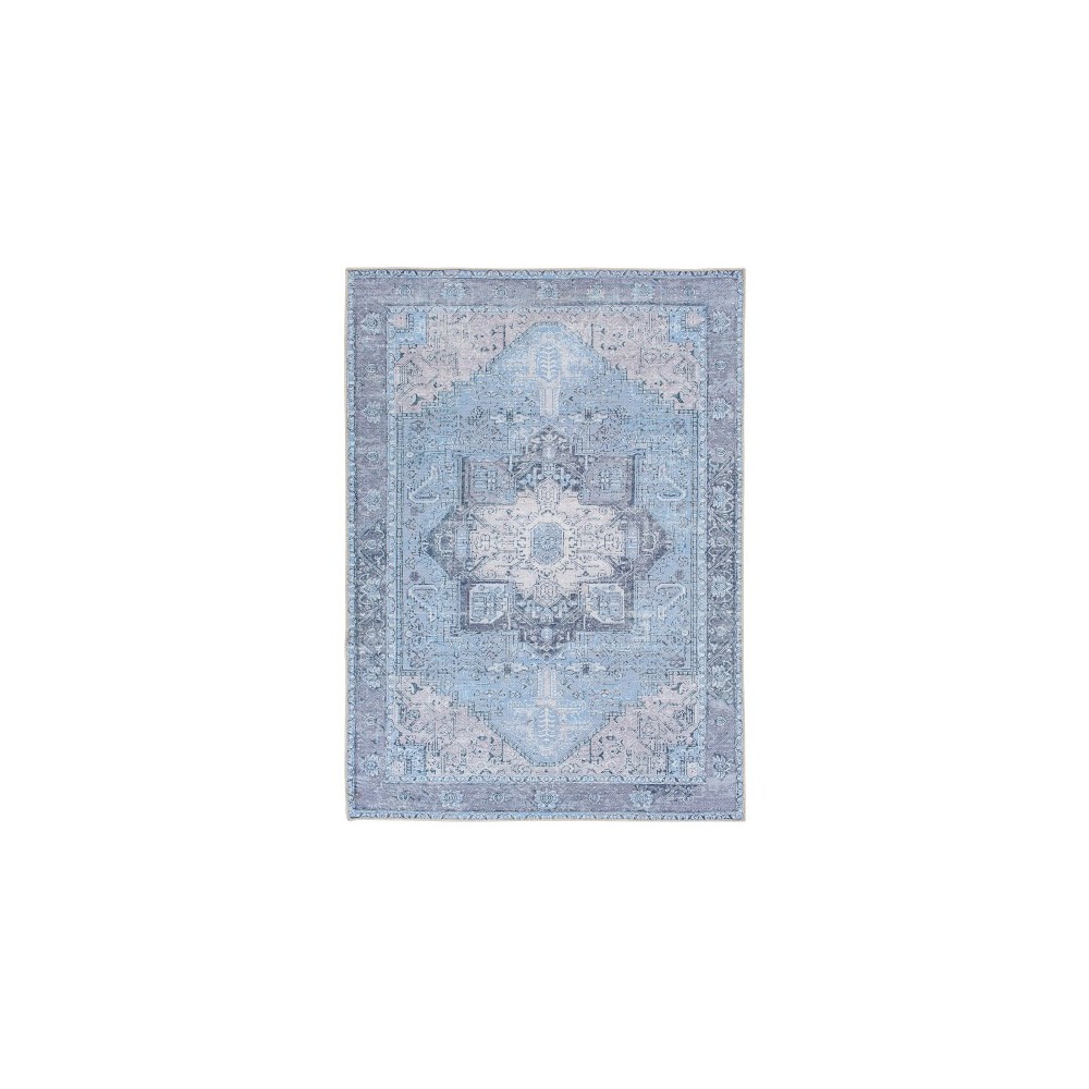 Surya Amelie Sky Blue Rug 2'7" X 18'