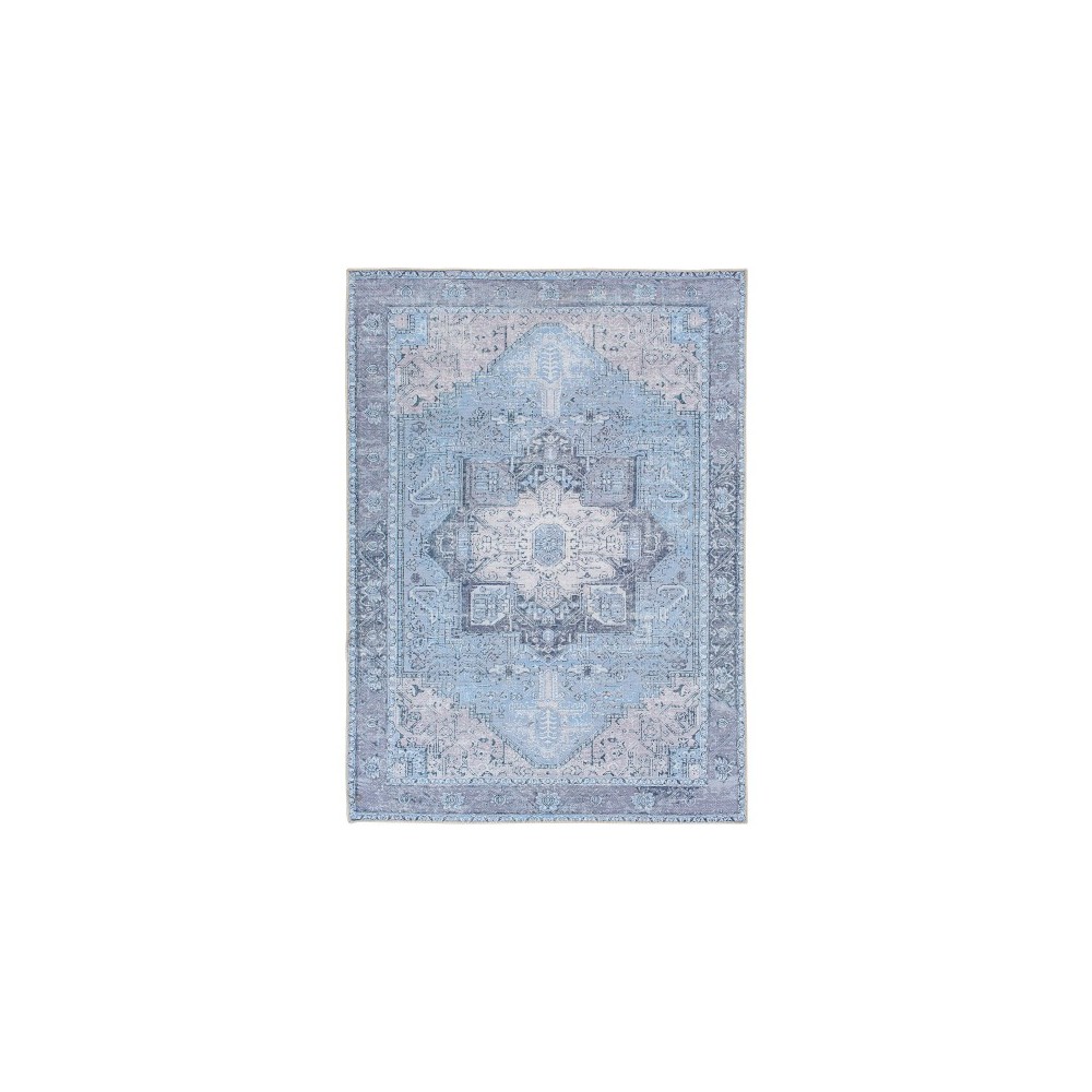 Surya Amelie Sky Blue Rug 8'10" X 12' Surya Amelie Sky Blue Rug 8'10" X 12'