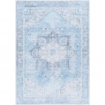 Surya Amelie Light Blue Rug 2' X 2'11"