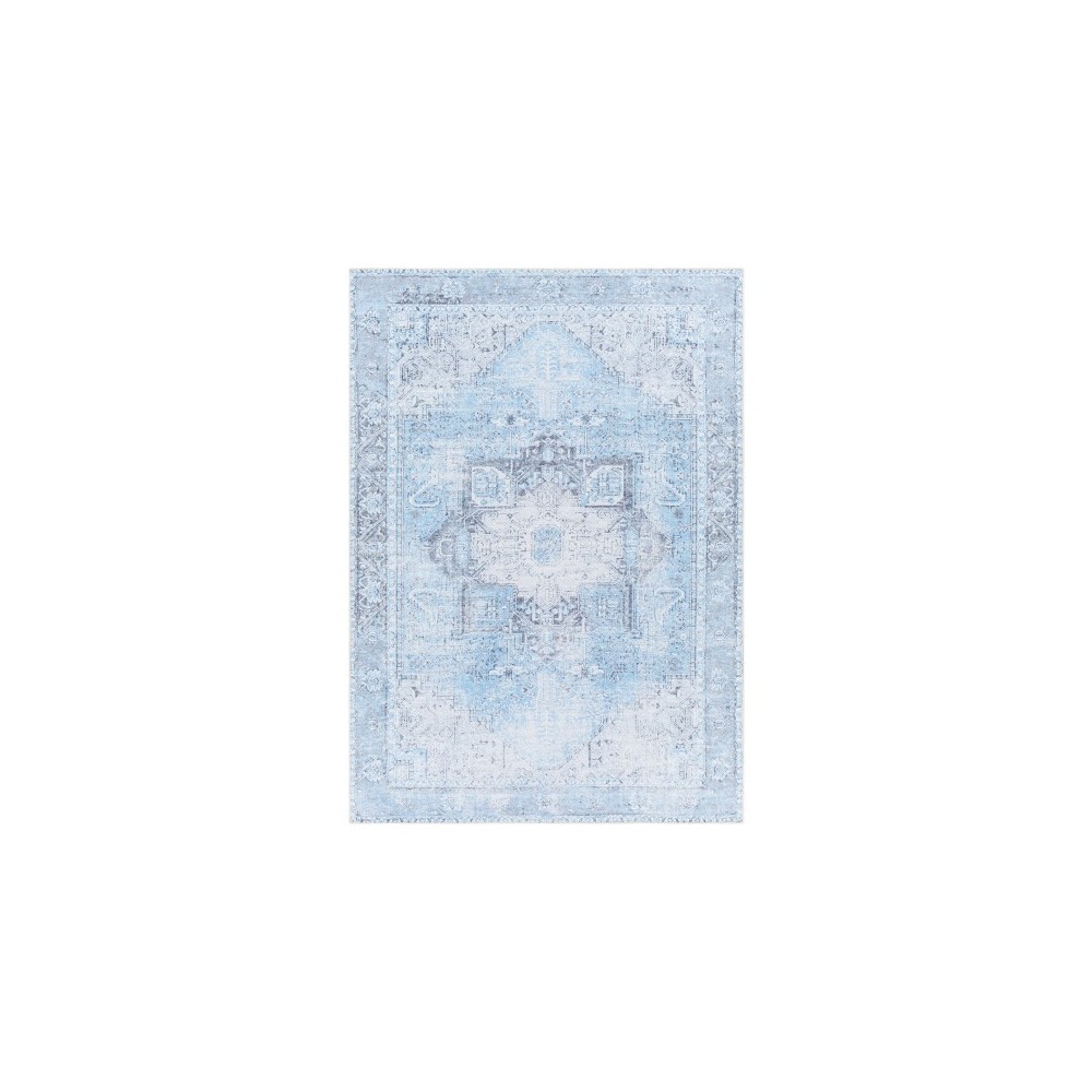 Surya Amelie Light Blue Rug 2' X 2'11"