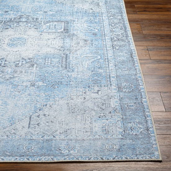 Surya Amelie Light Blue Rug 2' X 2'11"