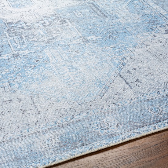 Surya Amelie Light Blue Rug 2' X 2'11"