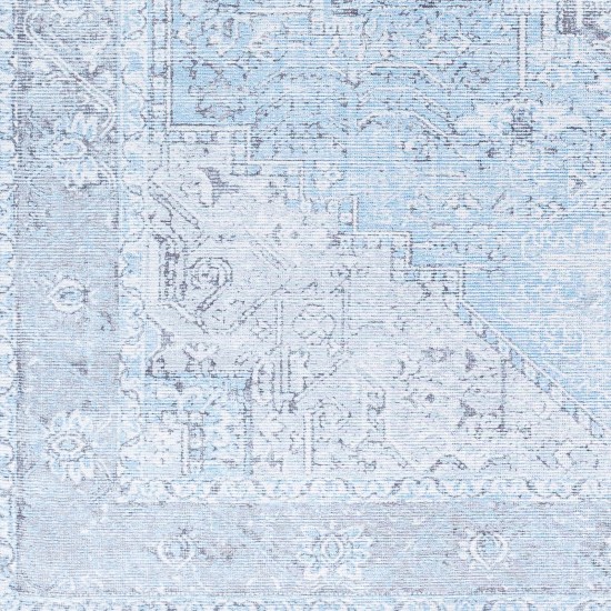 Surya Amelie Light Blue Rug 2' X 2'11"