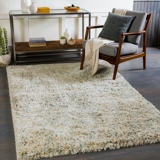 Surya Anaheim Sky Blue Rug 2' X 3'