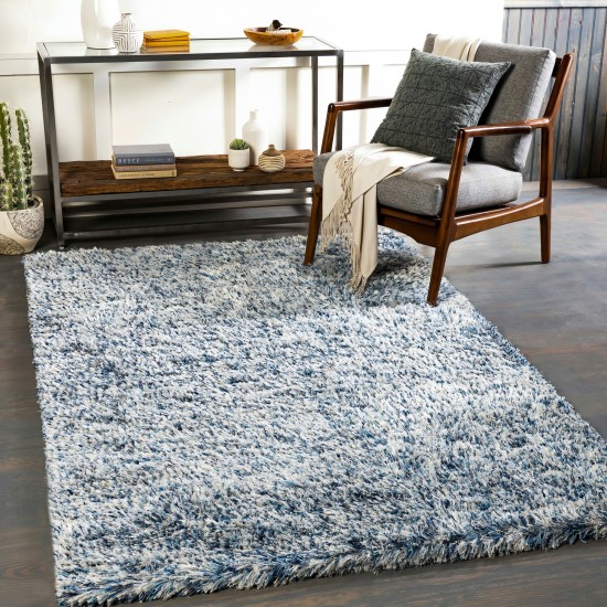 Surya Anaheim Denim Rug 2' X 3'