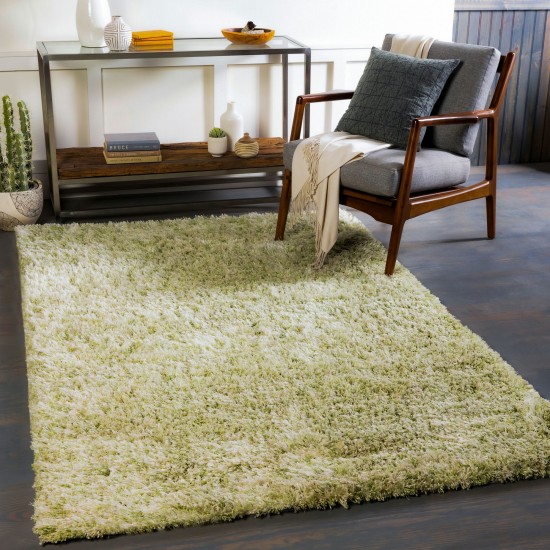 Surya Anaheim Grass Green Rug 2' X 3'