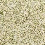 Surya Anaheim Grass Green Rug 8' X 10'