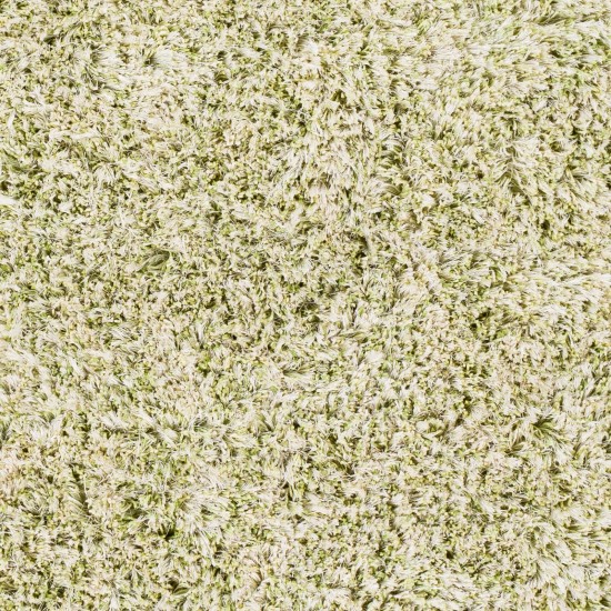 Surya Anaheim Grass Green Rug 8' X 10'