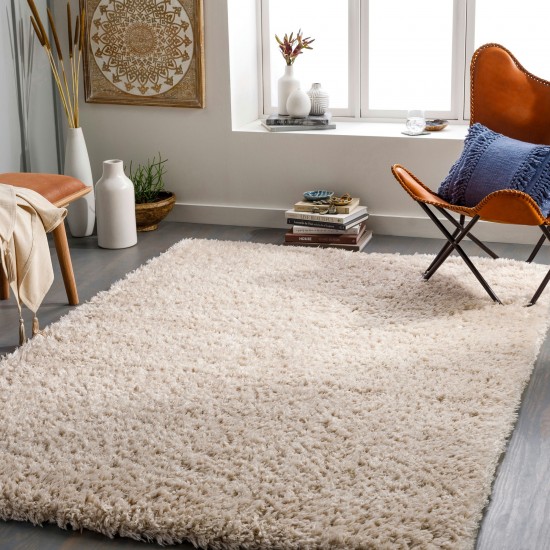 Surya Angora Oatmeal Rug 2'3" X 3'9"