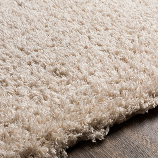 Surya Angora Oatmeal Rug 3'11" X 5'7"