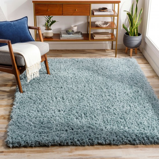 Surya Angora Ice Blue Rug 2'3" X 3'9"