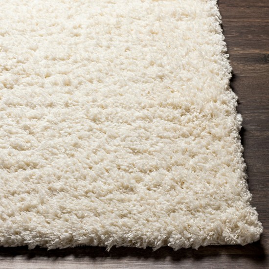 Surya Angora Cream Rug 2'3" X 3'9"