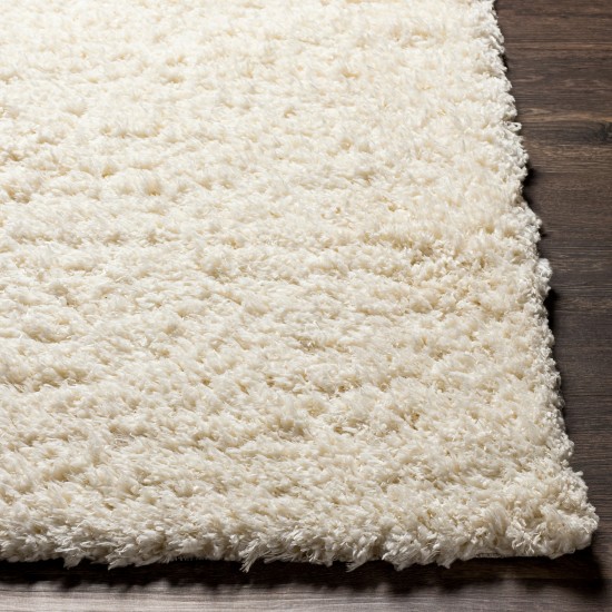 Surya Angora Cream Rug 3'11" X 5'7"