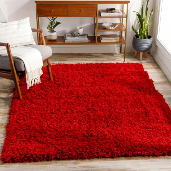 Surya Angora Red Rug 2'3" X 3'9"