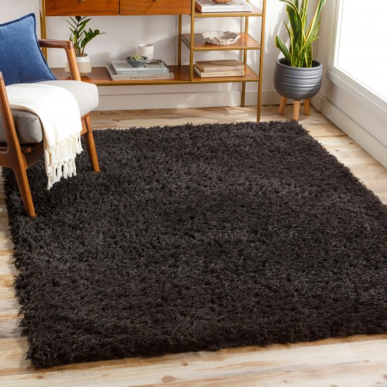 Surya Angora Black Rug 2'3" X 3'9"