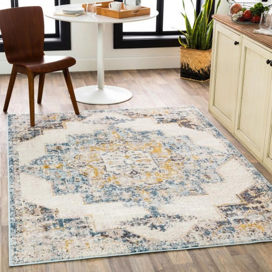 Surya Ankara Ice Blue Rug 2' X 3'