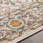 Surya Ankara Rug 2' X 3' Dusty Pink
