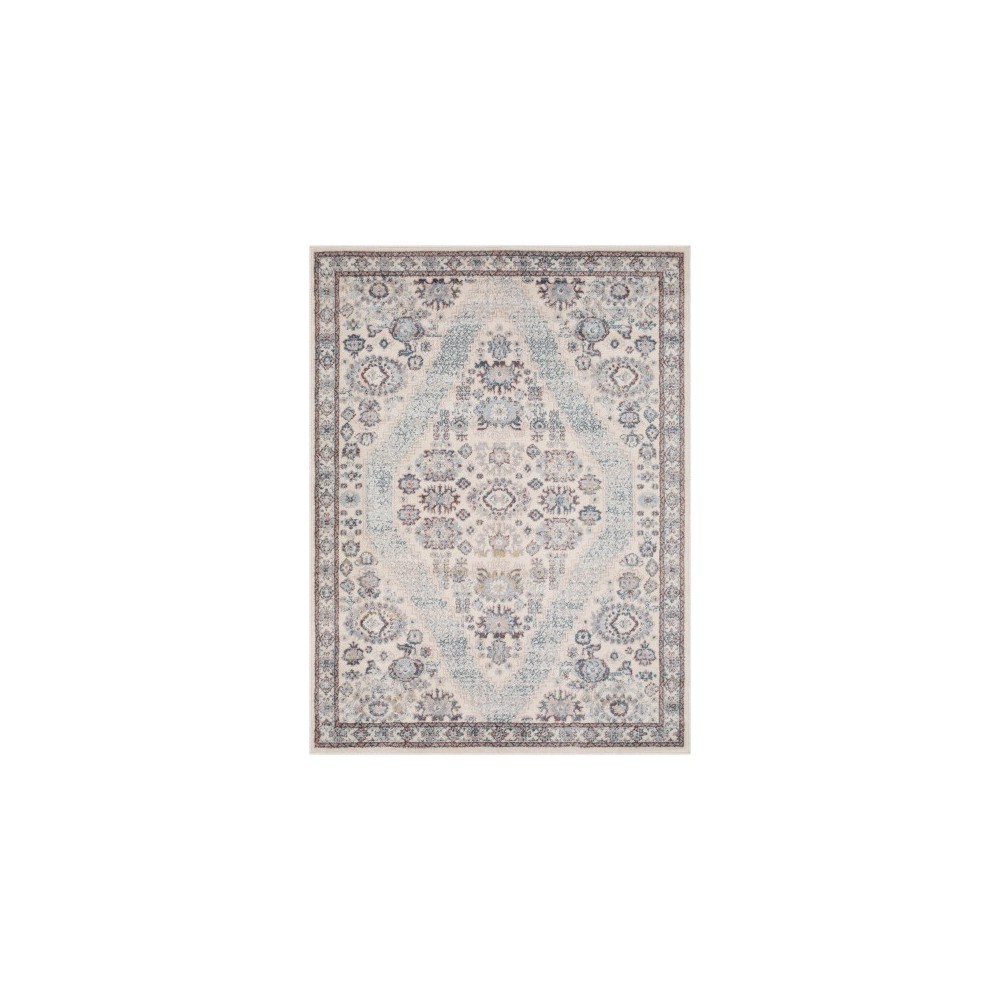 Surya Ankara Rug 6'7" X 9' Blue