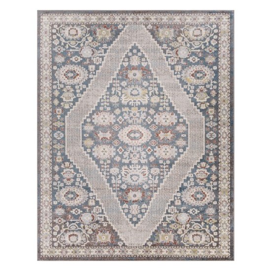 Surya Ankara Rug 7'10" X 10'3" (Blue)