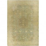 Surya Antique One Of A Kind Rug 11'9" X 8'1"
