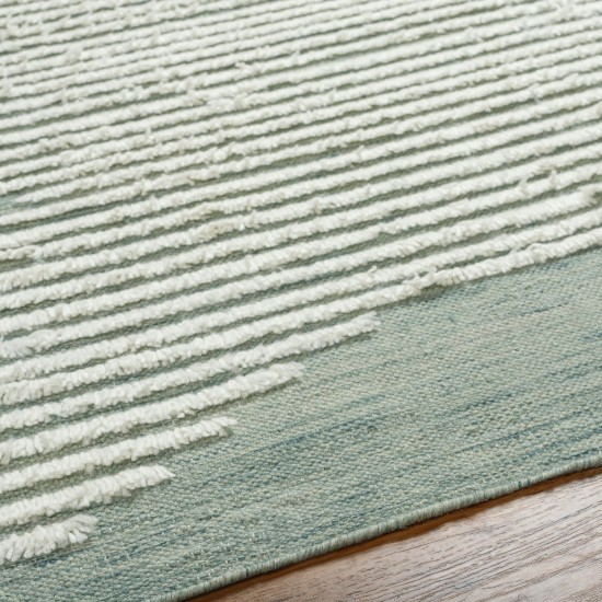 Surya Apache Sage Rug 9' X 12'