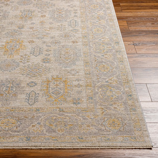 Surya Avant Garde Rug 2'7" X 7'3" In Medium Gray