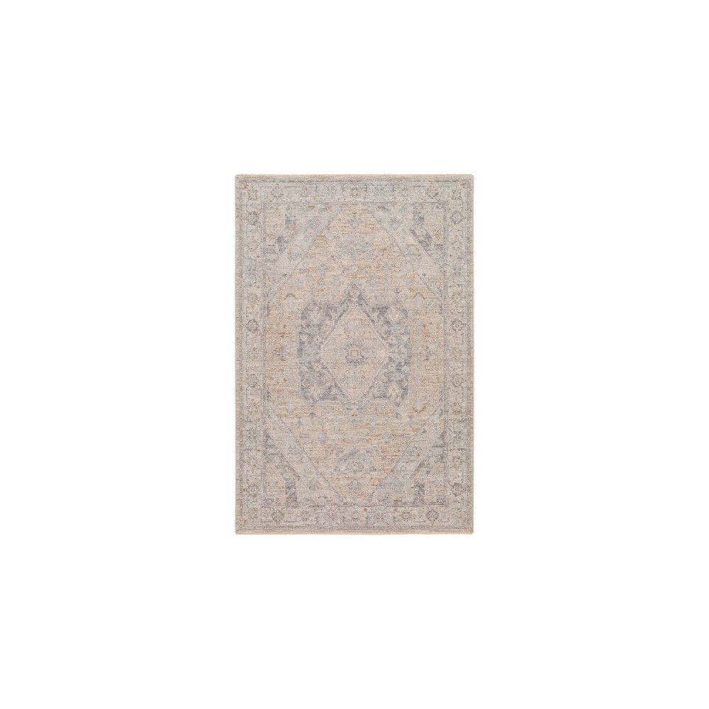 Surya Avant Garde Medium Gray & Dusty Sage Rug 2' X 3'