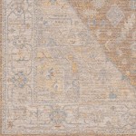 Surya Avant Garde Medium Gray & Taupe Rug 2' X 3'