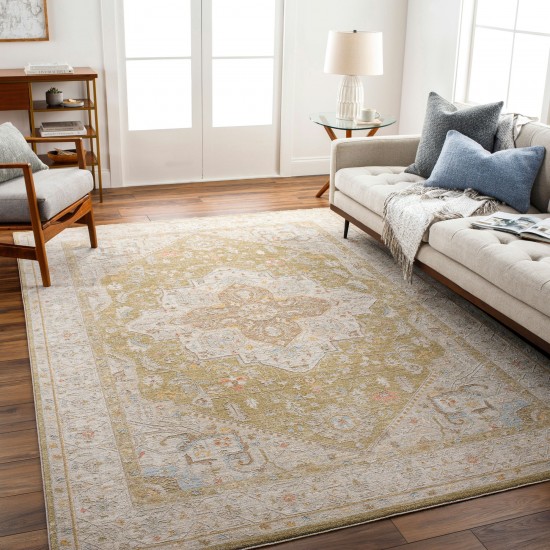 Surya Avant Garde Rug 2'7" X 7'3" In Medium Gray & Light Olive